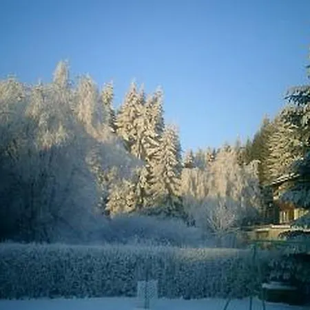 Apartman Zeidler *